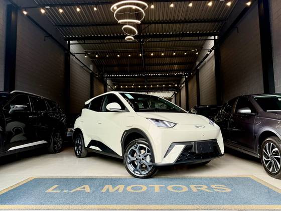 BYD DOLPHIN MINI 38 KW ELÉTRICO GS